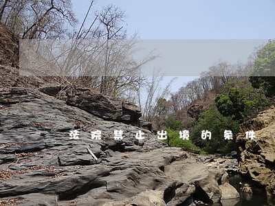 法院禁止出境的条件 法院禁止出境的条件