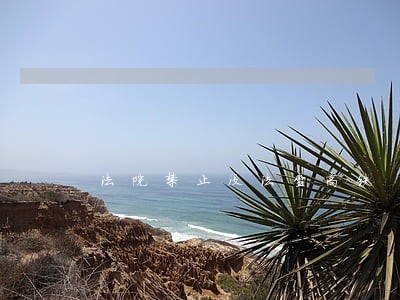 法院禁止没法坐高铁