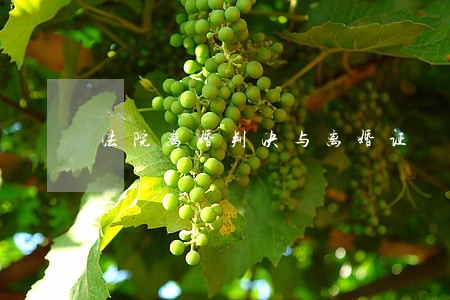 法院离婚判决与离婚证 法院离婚判决与离婚证