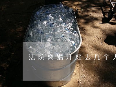 法院离婚开庭去几个人 法院离婚开庭去几个人