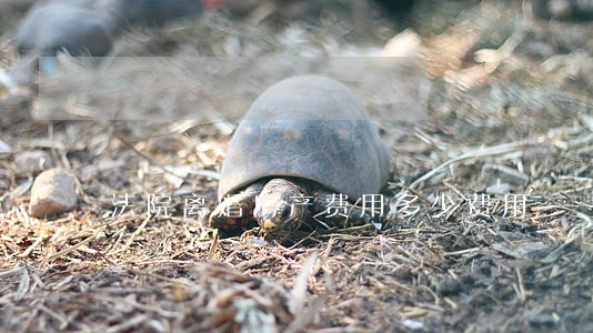 法院离婚房产费用多少费用 法院离婚房产费用多少费用