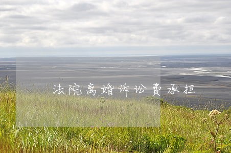 法院离婚诉讼费承担 法院离婚诉讼费承担