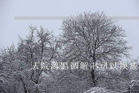 法院离婚调解书可以换成离婚证 法院离婚调解书可以换成离婚证