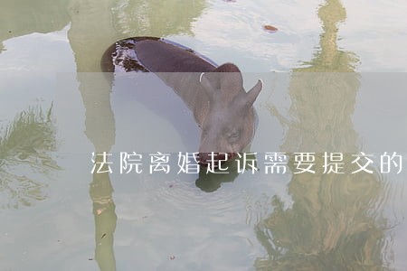 法院离婚起诉需要提交的材料 法院离婚起诉需要提交的材料