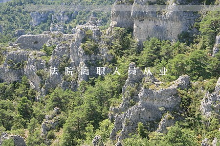 法院离职人员从业 法院离职人员从业