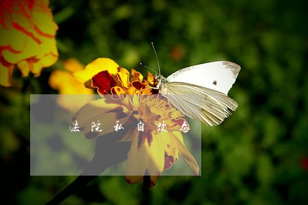 法院私自改卷 法院私自改卷