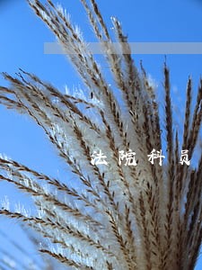 法院科员一个月工资