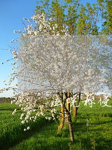 法院称侵权不成立 法院称侵权不成立
