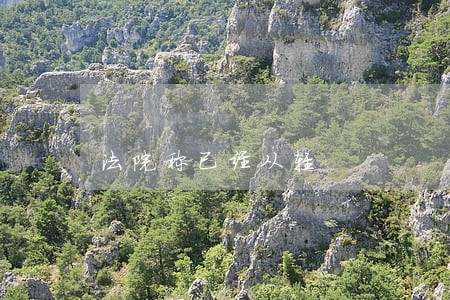 法院称已经从轻 法院称已经从轻