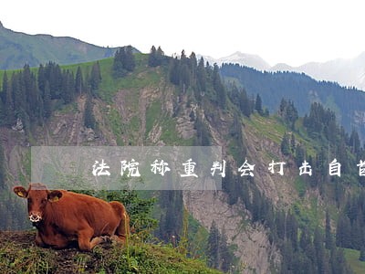 法院称重判会打击自首者 法院称重判会打击自首者