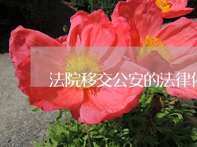 法院移交公安的法律依据 法院移交公安的法律依据