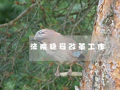 法院稳妥改革工作 法院稳妥改革工作