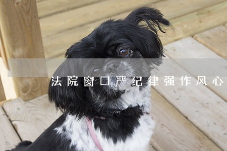 法院窗口严纪律强作风心得体会 法院窗口严纪律强作风心得体会