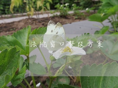 法院窗口整改方案 法院窗口整改方案