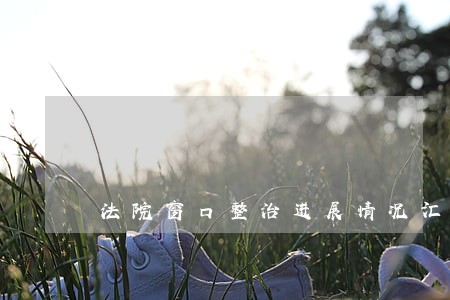 法院窗口整治进展情况汇报 法院窗口整治进展情况汇报