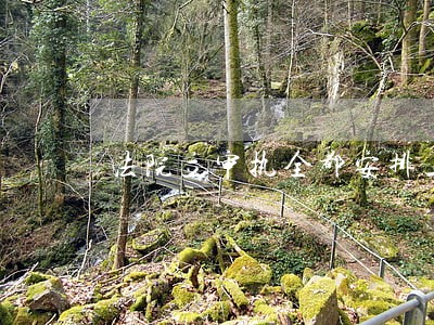法院立审执全都安排上 法院立审执全都安排上