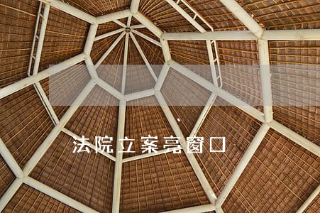 法院立案亮窗口