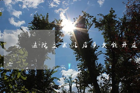 法院立案以后多久能开庭