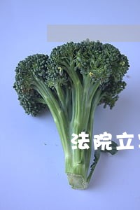 法院立案后会冻结账户