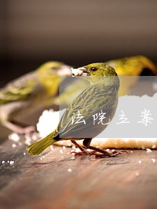 法院立案后公了私了哪个划算 法院立案后公了私了哪个划算