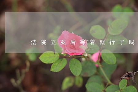 法院立案后等着就行了吗 法院立案后等着就行了吗