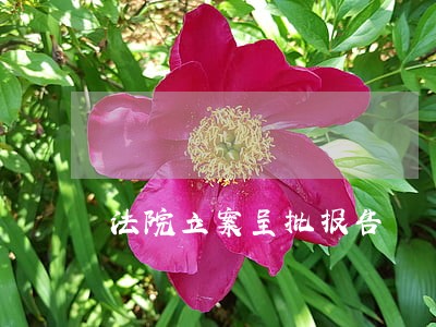 法院立案呈批报告 法院立案呈批报告