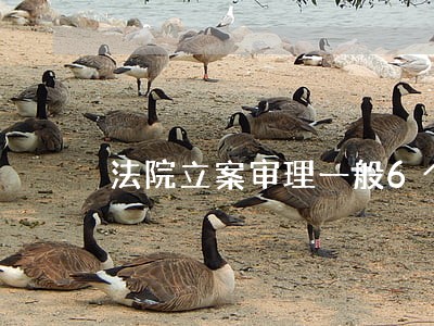 法院立案审理一般6个月审结 法院立案审理一般6个月审结