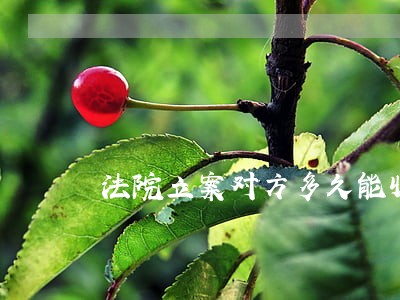 法院立案对方多久能收到法院传票 法院立案对方多久能收到法院传票