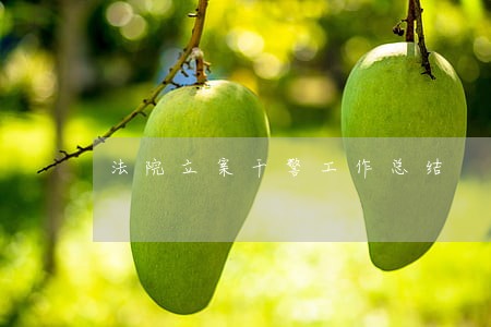 法院立案干警工作总结 法院立案干警工作总结
