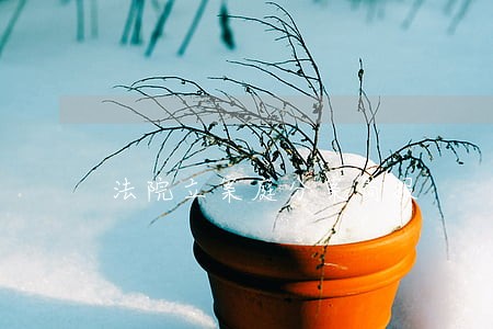 法院立案庭分案简报 法院立案庭分案简报
