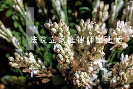 法院立案庭律师室讲话 法院立案庭律师室讲话