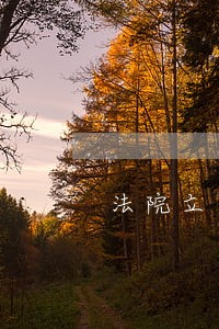 法院立案庭执行异议申请书 法院立案庭执行异议申请书