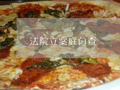 法院立案庭自查 法院立案庭自查