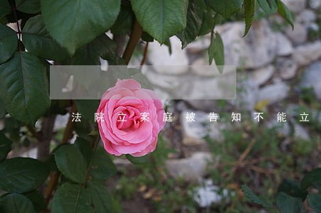 法院立案庭被告知不能立案