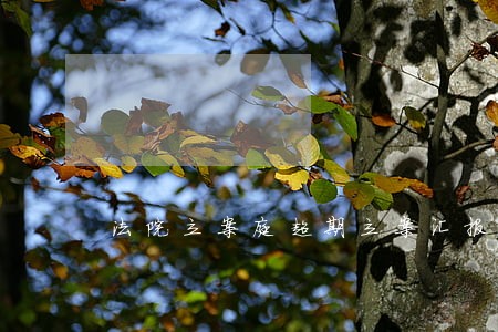 法院立案庭超期立案汇报 法院立案庭超期立案汇报