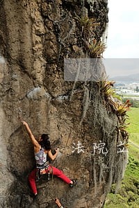 法院立案庭集中送达 法院立案庭集中送达