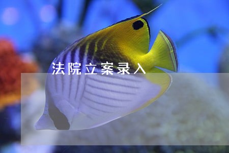 法院立案录入 法院立案录入