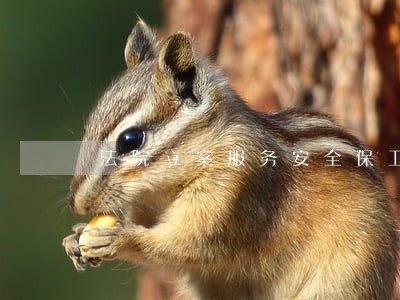 法院立案服务安全保卫制度 法院立案服务安全保卫制度