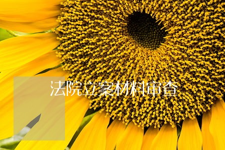 法院立案材料审查