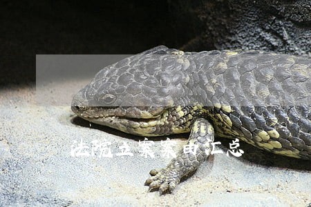 法院立案案由汇总