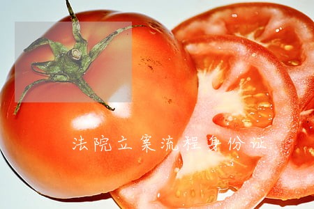 法院立案流程身份证 法院立案流程身份证