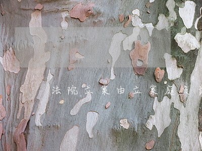 法院立案由立案庭负责