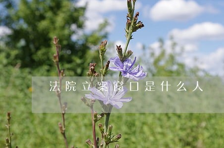 法院立案窗口是什么人 法院立案窗口是什么人