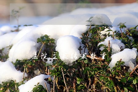 法院立案结案数量 法院立案结案数量