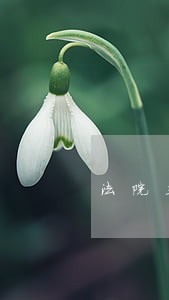 法院立案证件号是什么