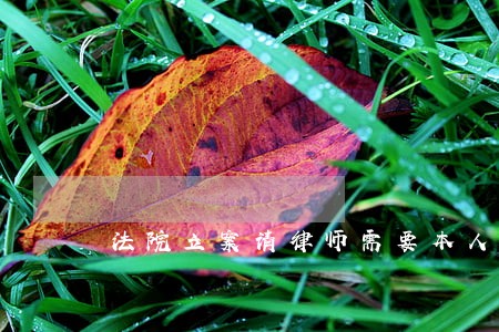 法院立案请律师需要本人去吗