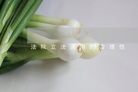 法院立法适用的合理性 法院立法适用的合理性