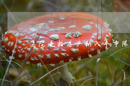 法院竞拍房产纳入本市限购