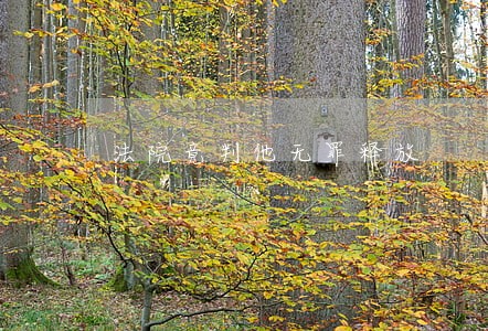 法院竟判他无罪释放 法院竟判他无罪释放