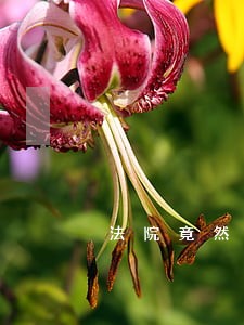 法院竟然认为合法 法院竟然认为合法